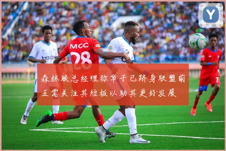 森林狼总经理称华子已跻身联盟前五需关注其短板以助其更好发展